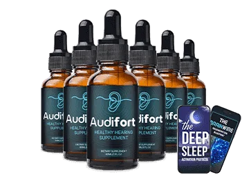 AudiFort 6 Bottles